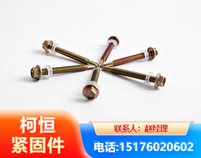 杭州六角钻尾丝